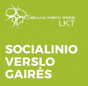 Socialinio_verslo_gaires