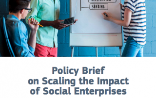 policy-brief-on-scaling-the-impact-of-social-enterprises