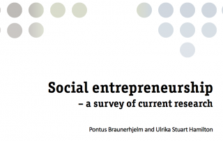 Social entrepreneurship – a survey of current research