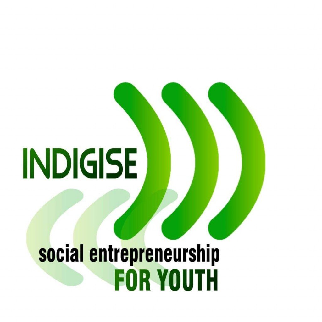 indigise logo