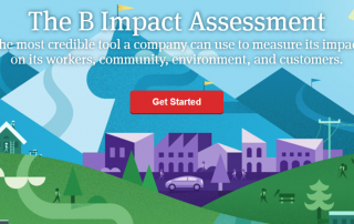 b impact assessment